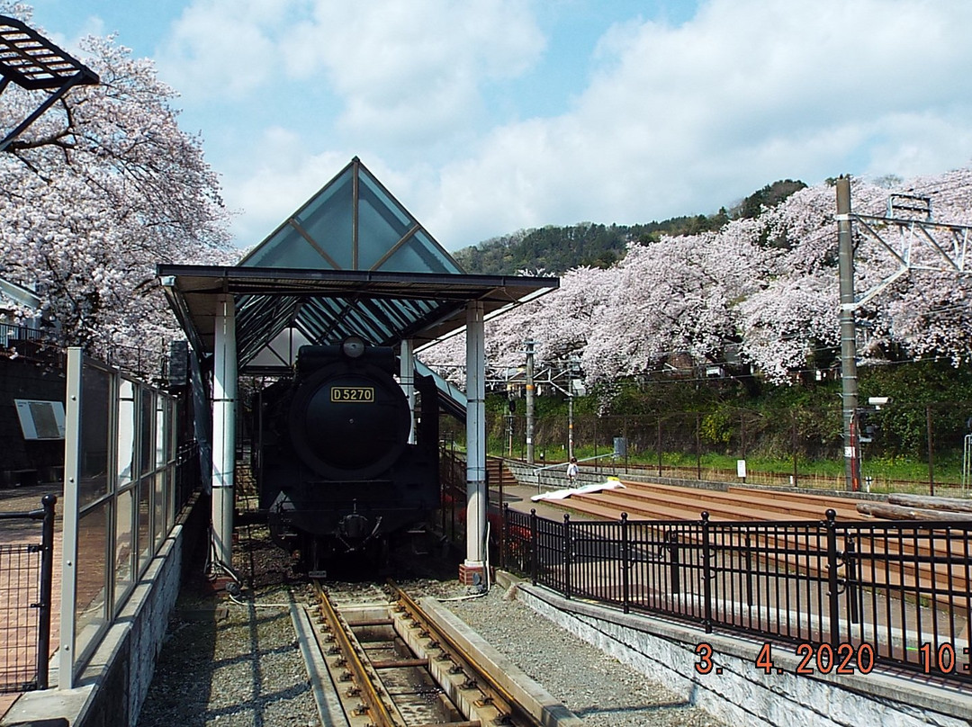 Yamakita Town Railway Park景点图片