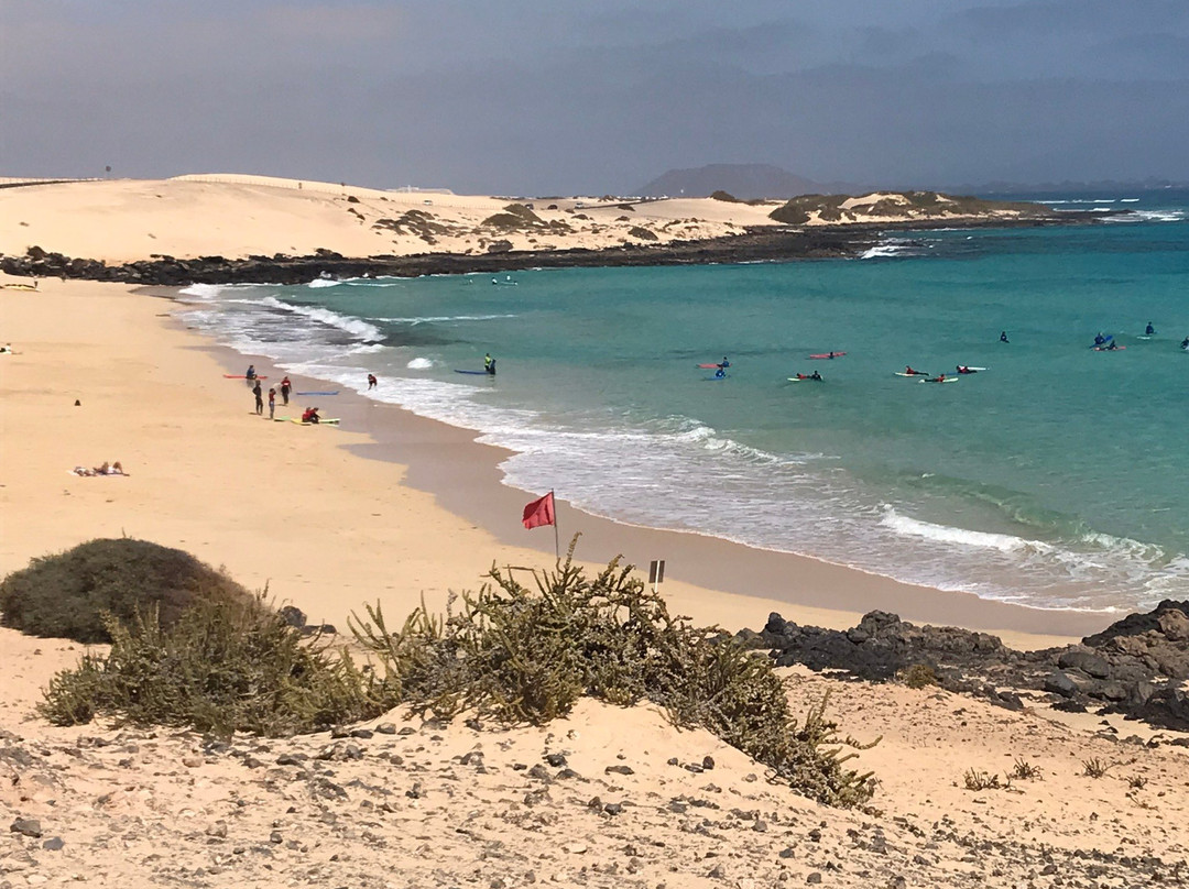 Laola Surf Camp景点图片