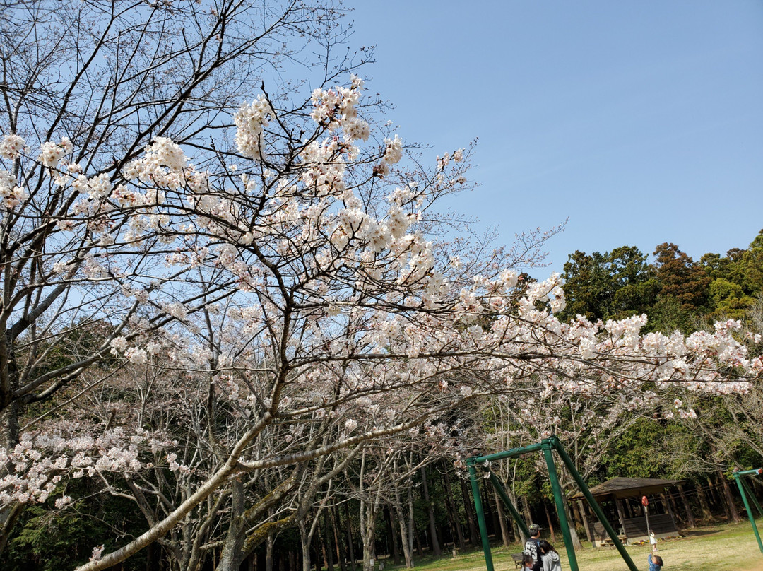 Ryugasaki Forest Park景点图片