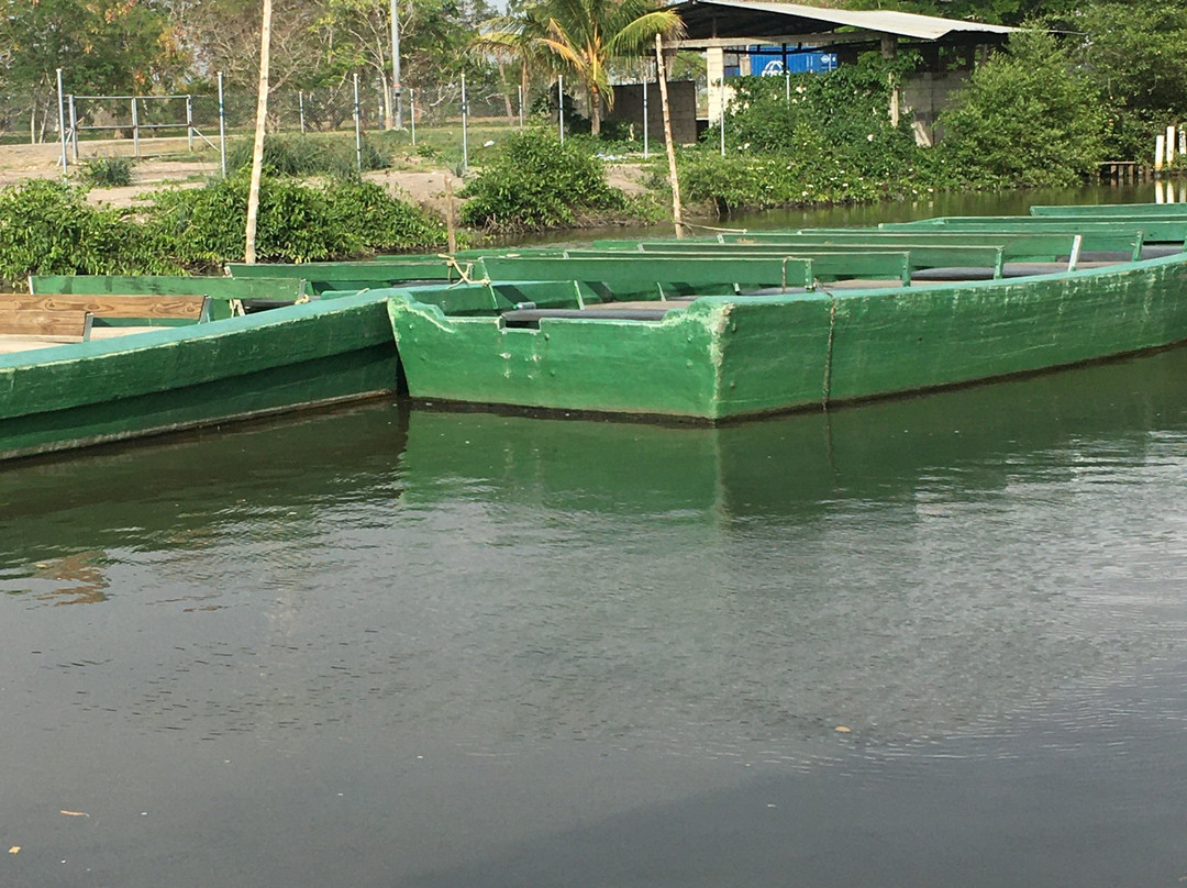 Caroni Swamp-St. Ann's必去景点