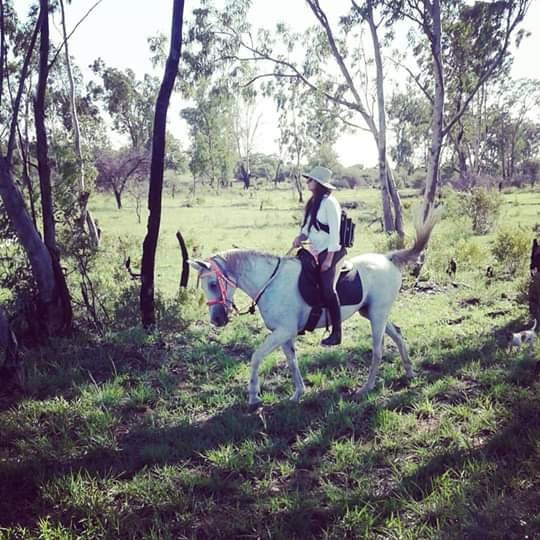Wendelstein Farmstay & Horse Trails主图