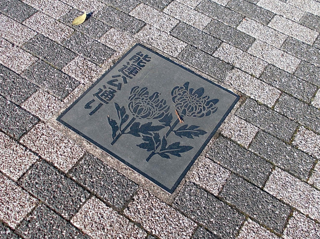 Kikuchi Grand Hotel Kikuchi Onsen主图