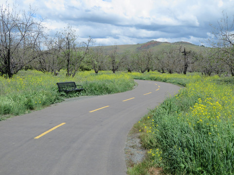 Coyote Creek Parkway Path-圣何塞必去景点