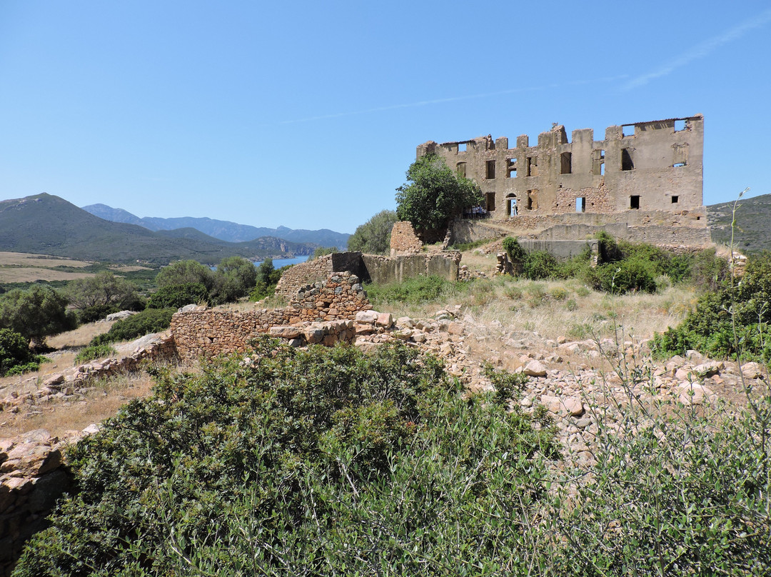 Le Château du Prince Pierre Bonaparte景点图片