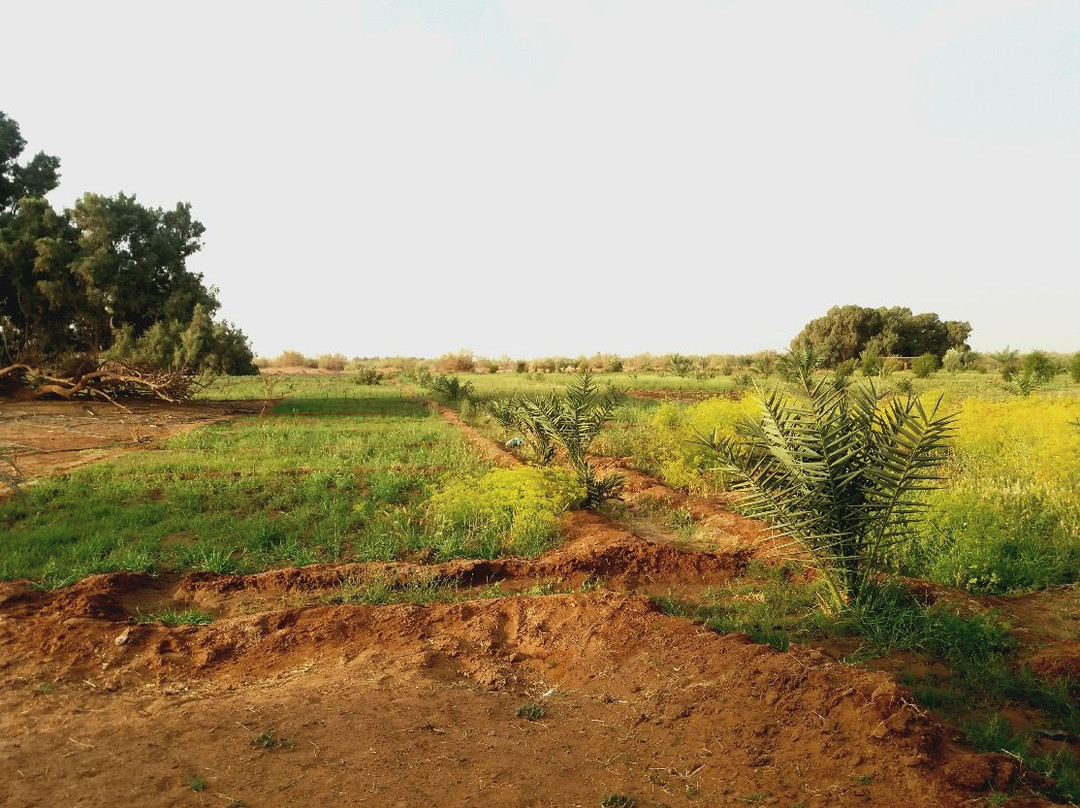 Ergsmar-迈哈米德必去景点