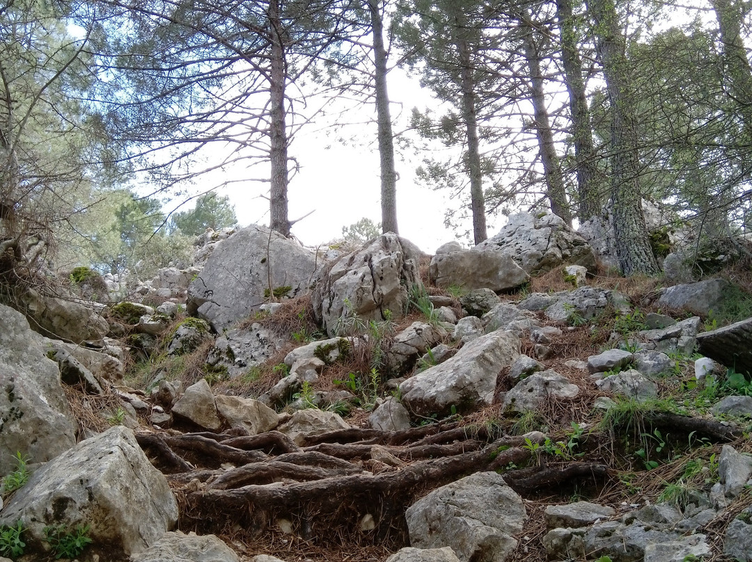 Sendero Puerto de las Presillas景点图片