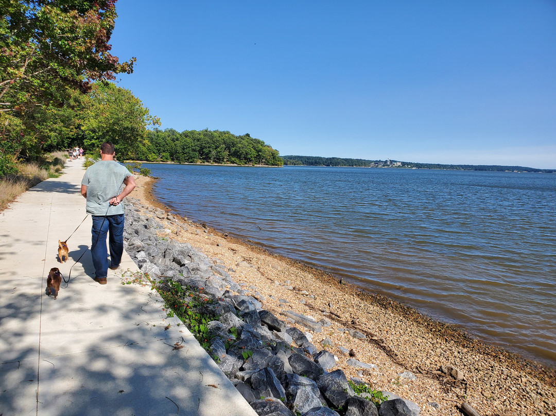 Relax Inn & Suites主图