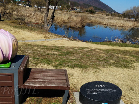 Water Garden-南杨州市必去景点
