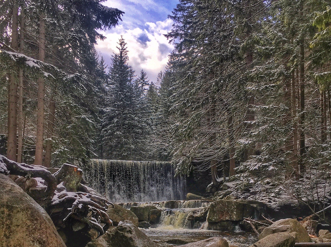 Wild Waterfall景点图片