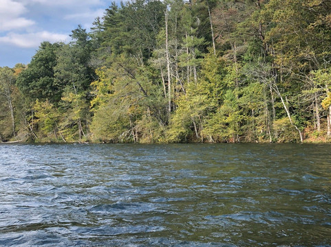 West Fork Anglers-Linville必去景点