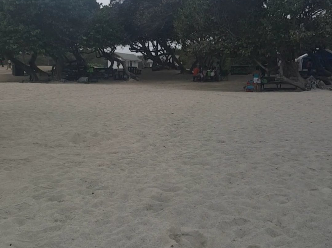 Fort Clarence Beach-金斯敦必去景点