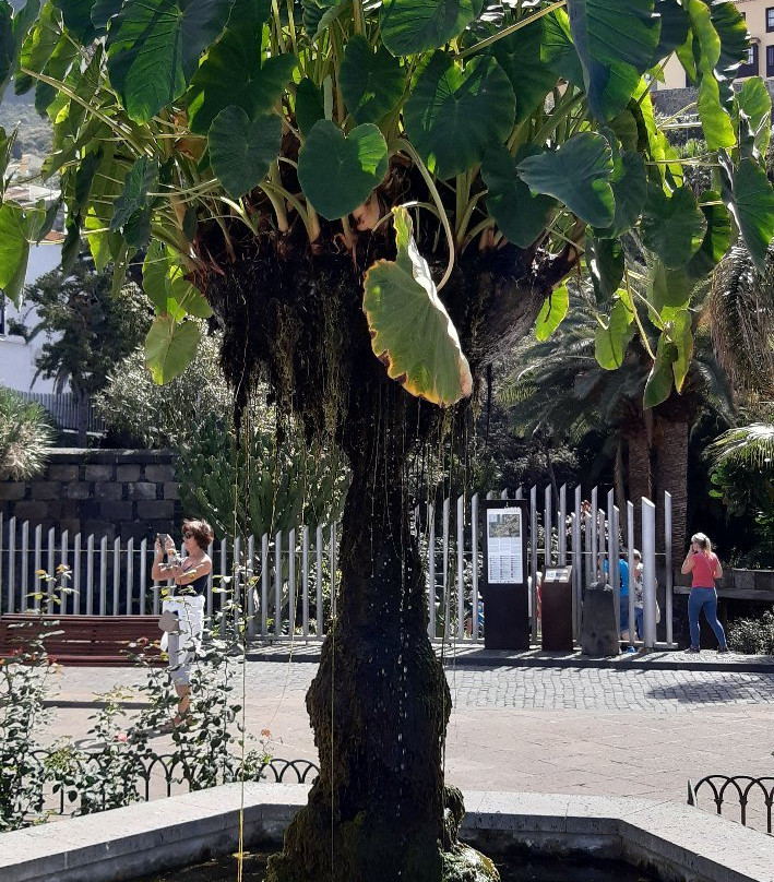 Plaza Juan González de la Torre景点图片