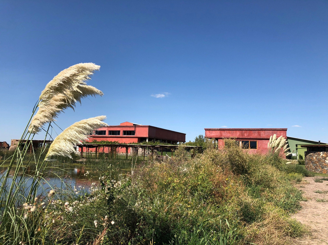 Ernesto Catena Vineyards-Vista Flores必去景点