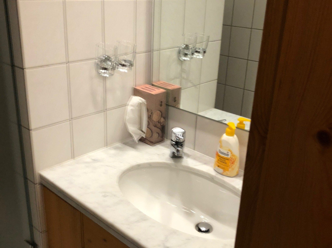 Hotel Gasthof Krone主图