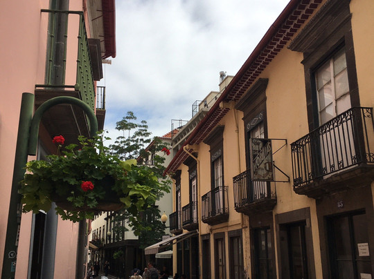 Levadas Madeira-沙尔必去景点