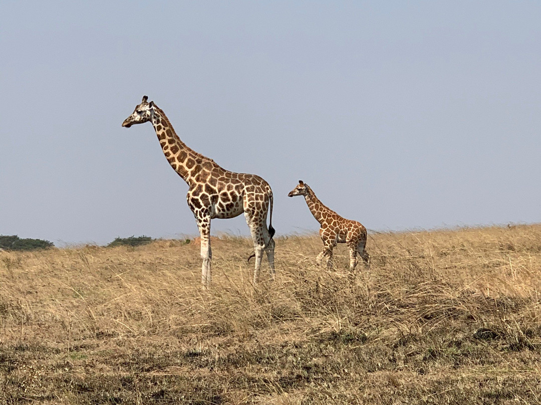 Albertine Valley Lodge主图