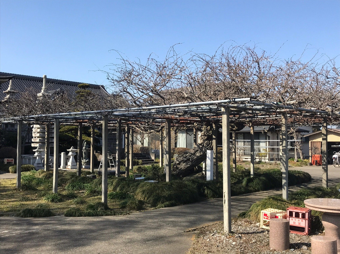 Sainen-ji Temple-上三川町必去景点
