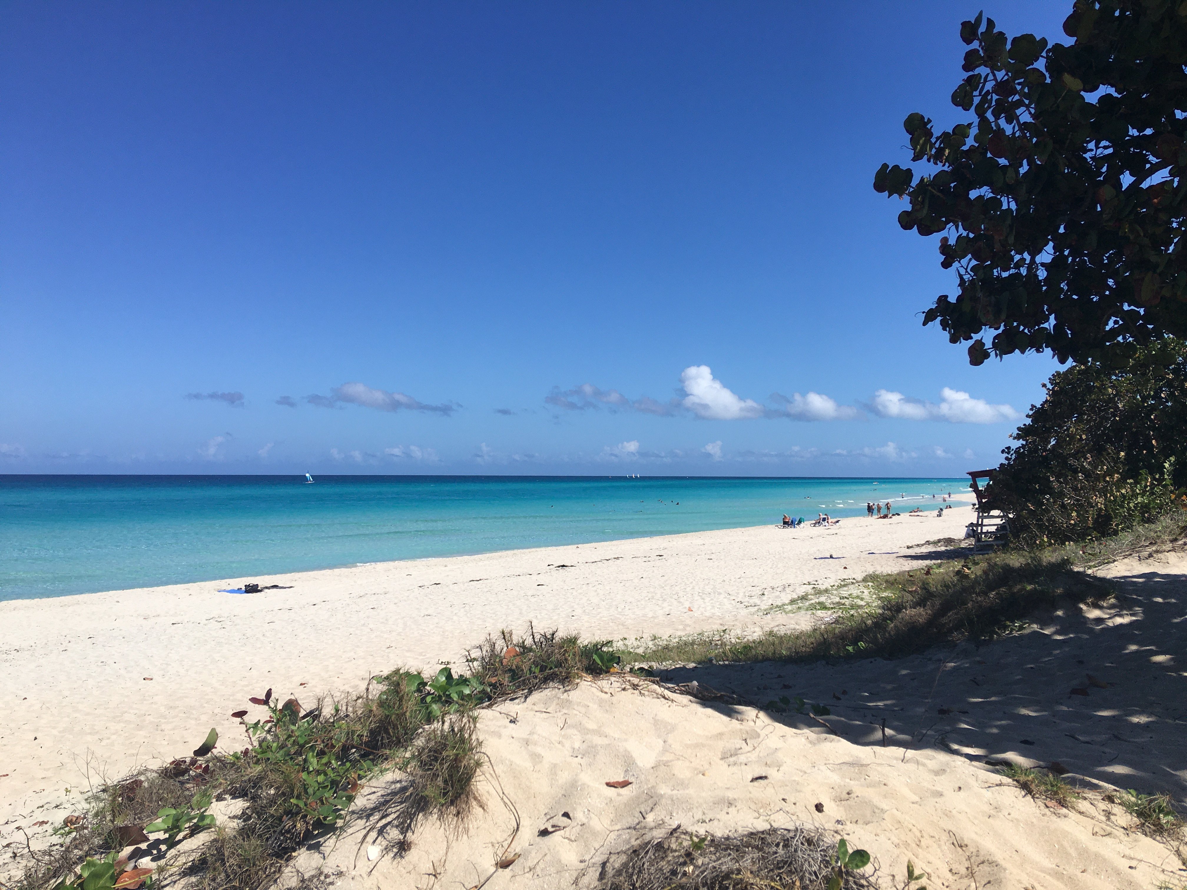 Hostal Mimi's Palace-泳池