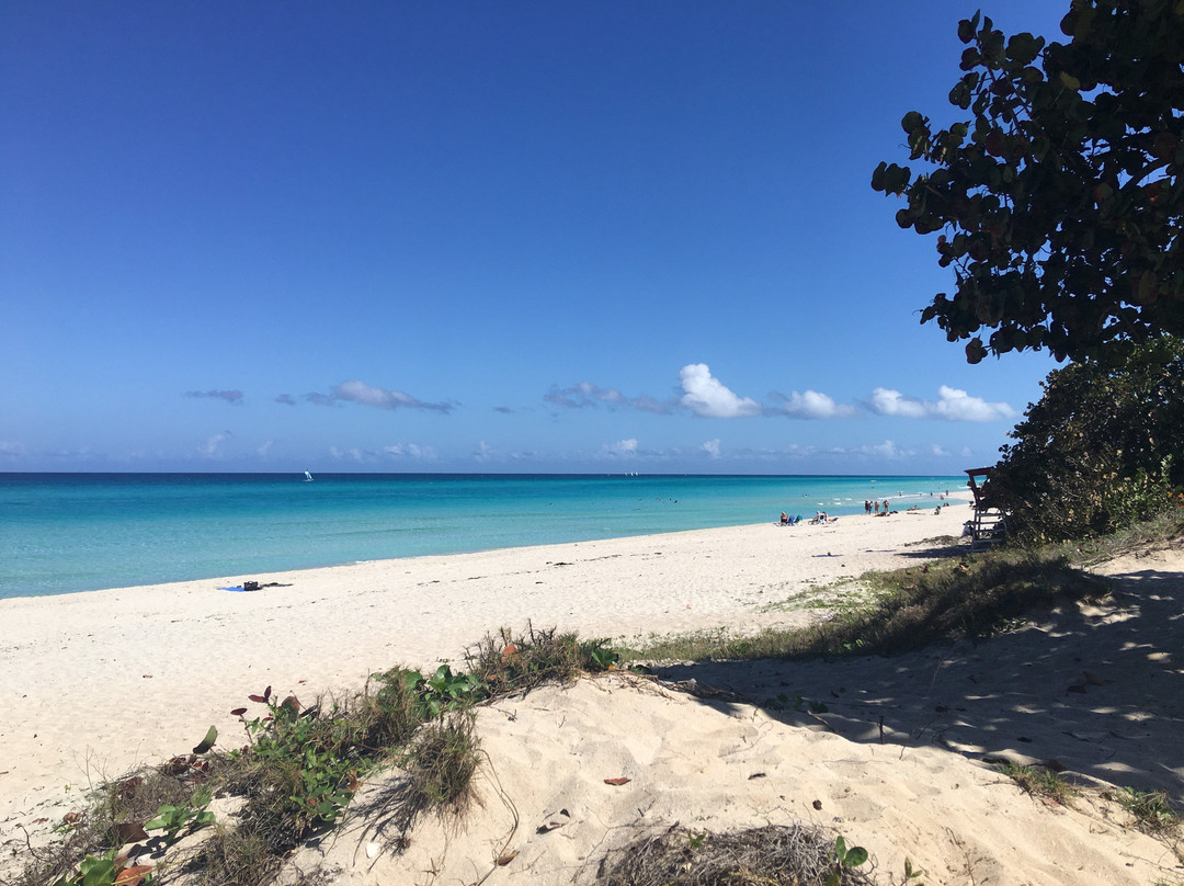 Hostal Mimi's Palace主图