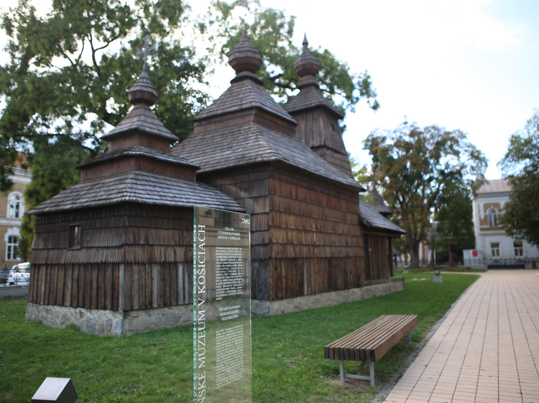 East Slovak Museum in Kosice景点图片