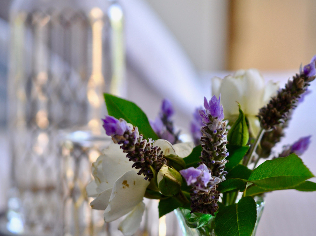 Amberfields Bed & Breakfast主图