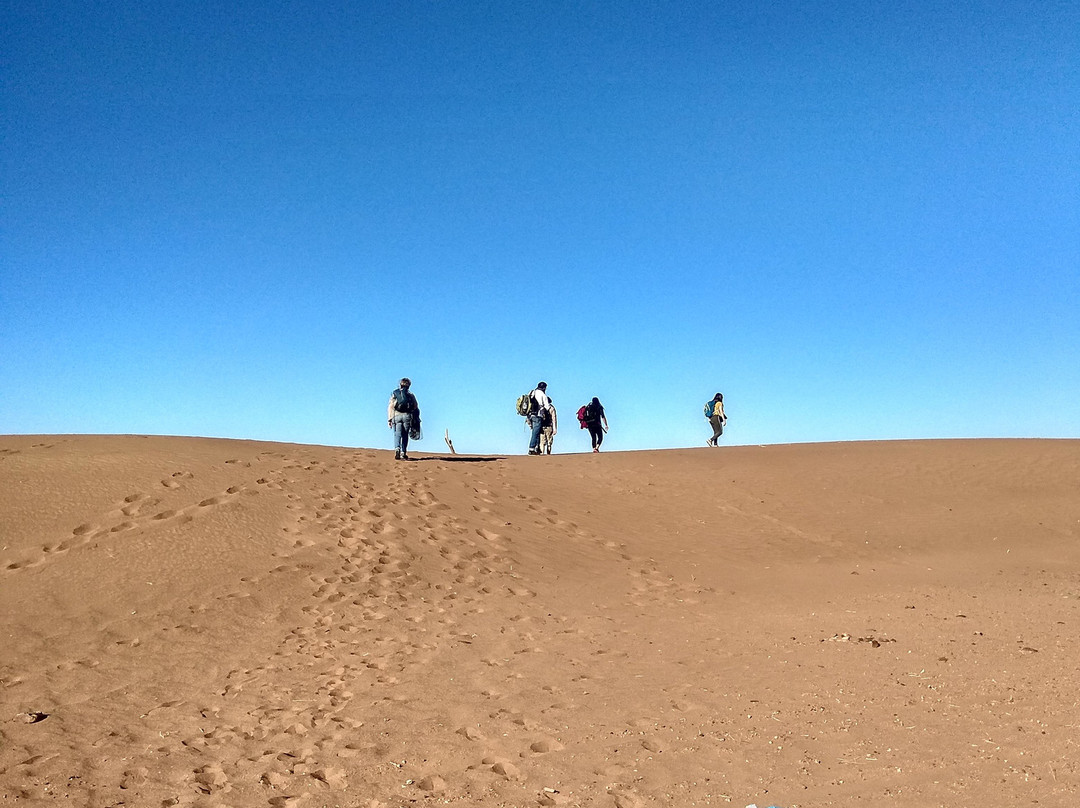 Farka Tours-伊拉悉迪亚必去景点