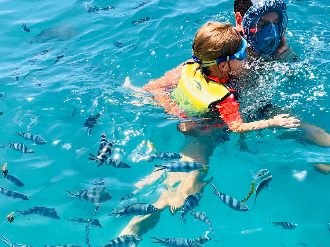 Mombasa Marine National Park-蒙巴萨必去景点