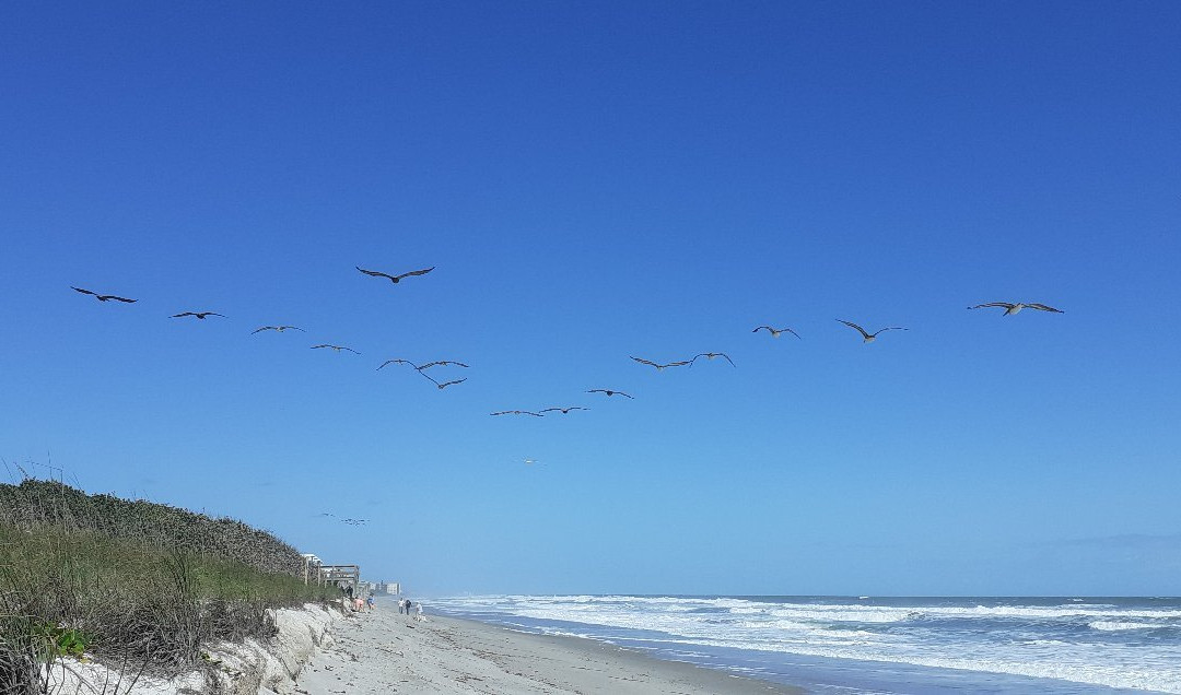 Hightower Beach Park景点图片
