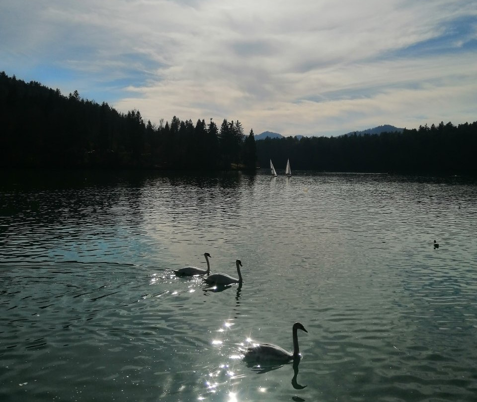 Lake Zbilje-Zbilje必去景点