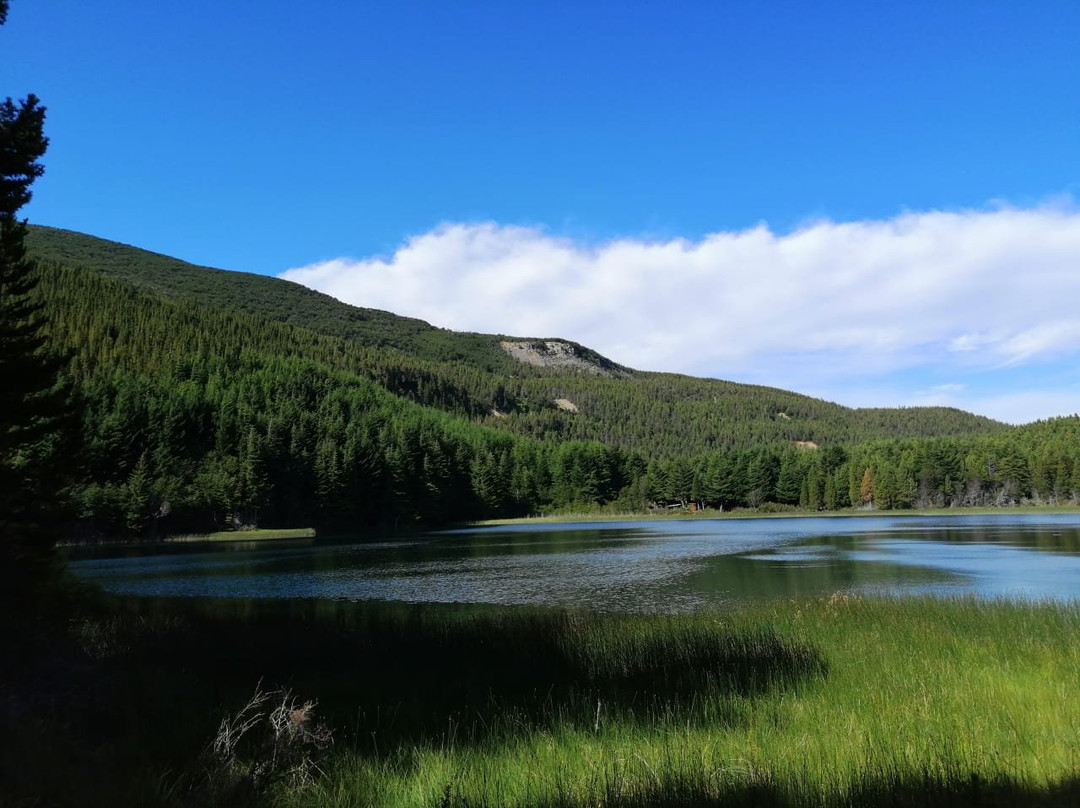 Reserva Nacional Coyhaique-Coyhaique必去景点