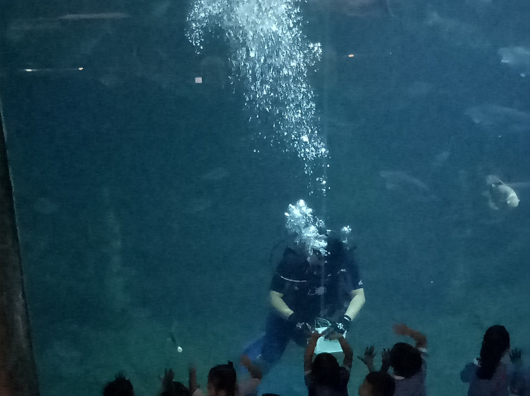 Nong Khai Aquarium景点图片
