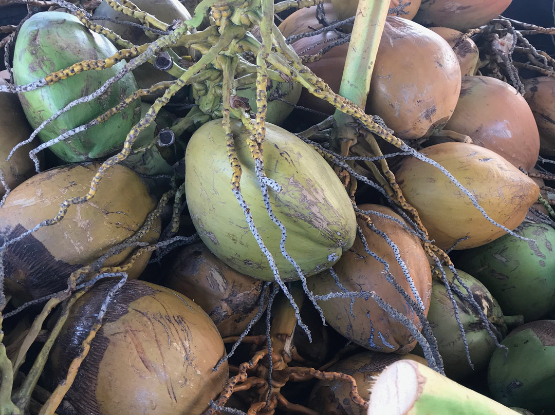 Hanalei Farmer’s Market-哈纳雷伊必去景点