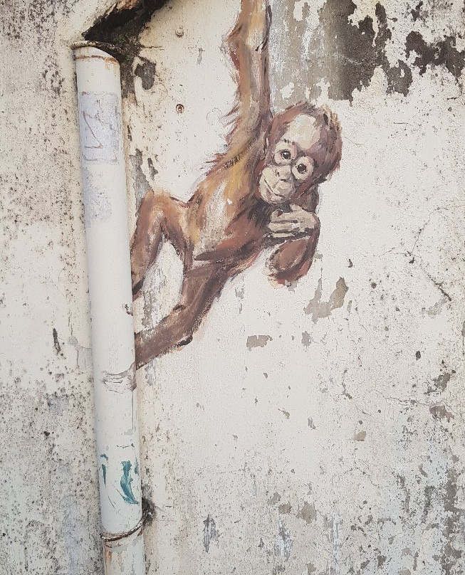Orang Utan Murals-古晋必去景点