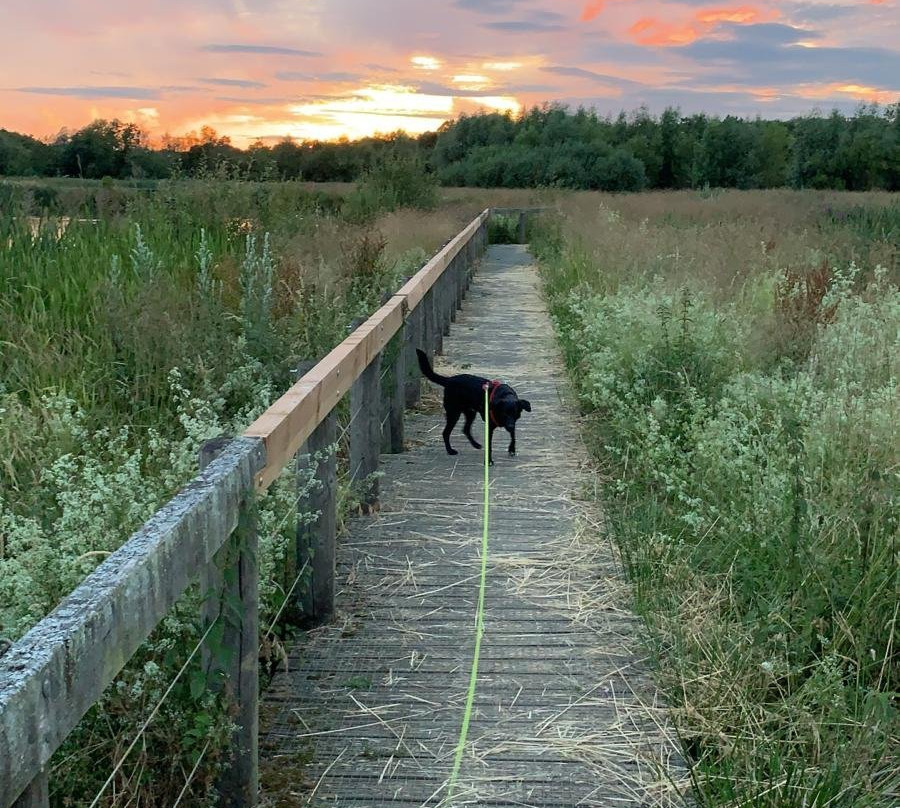 Edenbrook Country Park景点图片