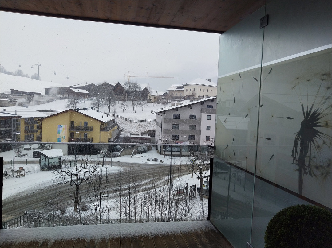 LEDERER's LIVING主图