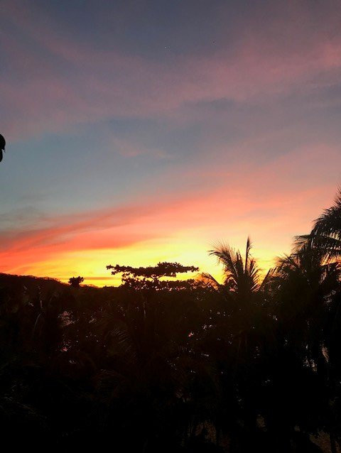 La Gaviota Tropical主图