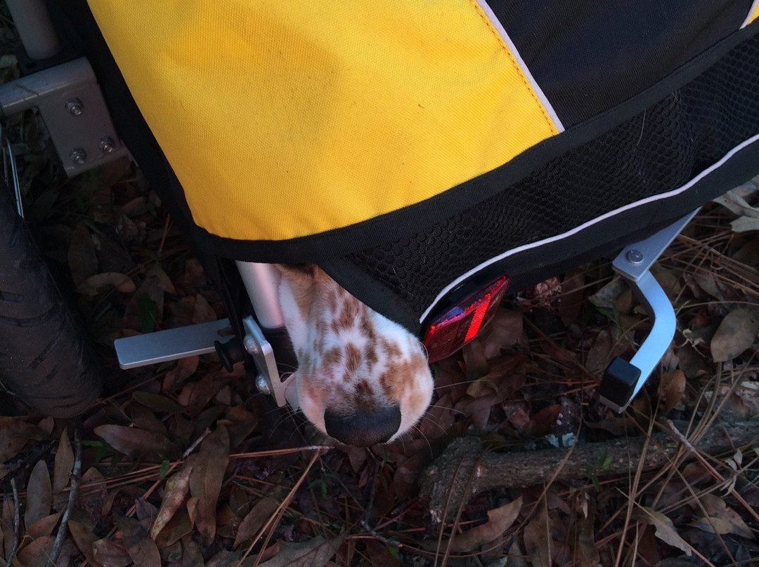 Santos Trailhead & Campground-奥卡拉必去景点