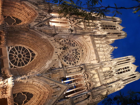 In Vox Veritas-兰斯必去景点