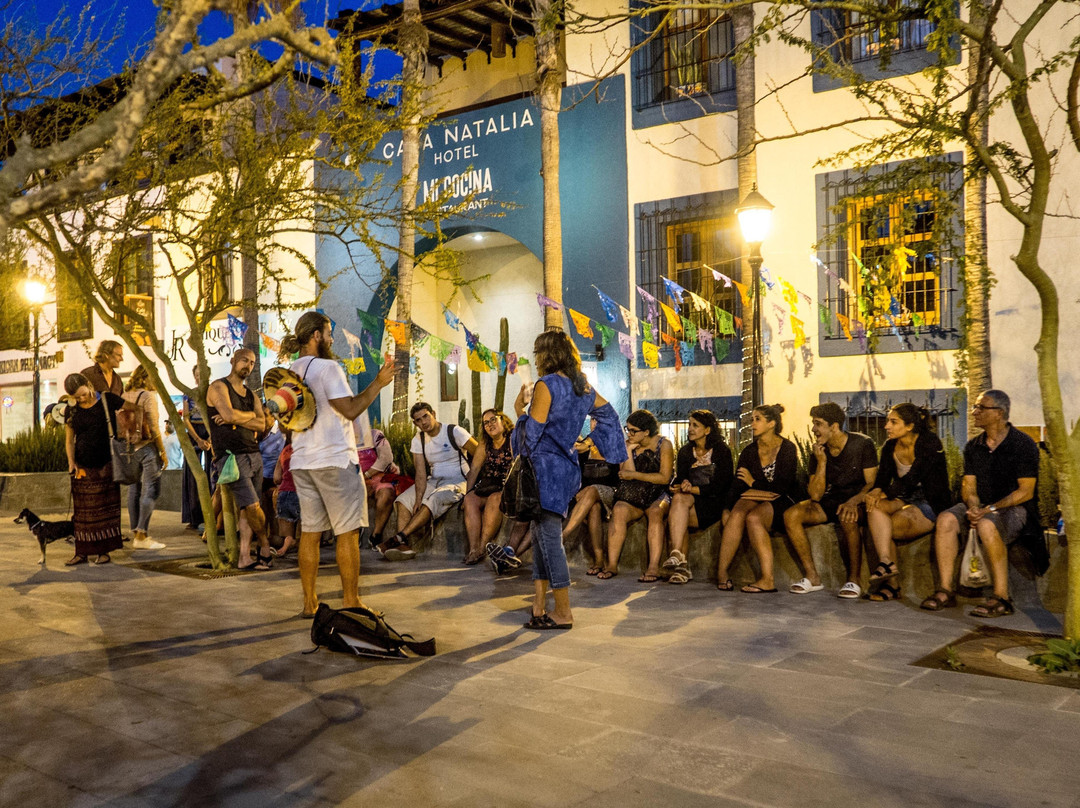 Los Cabos Passport-卡波圣卢卡斯必去景点