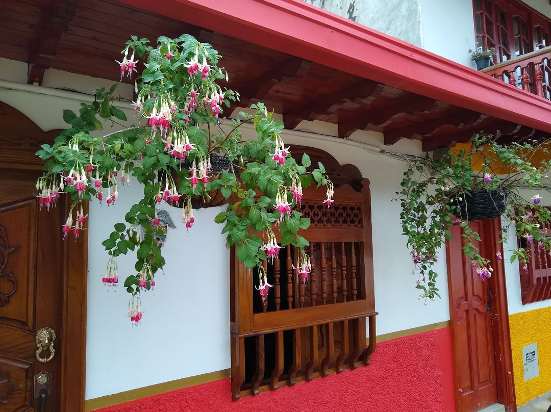 Jardin Botanico Los Balsos-Jerico必去景点