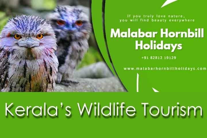 MALABAR HORNBILL HOLIDAYS景点图片