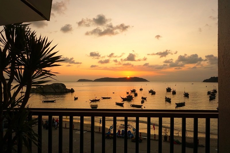 Monkey Homestay & Bar-官方