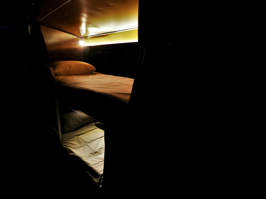 Stoked Adventure Facilitators- Private Bus Tours-雷夫尔斯托克必去景点