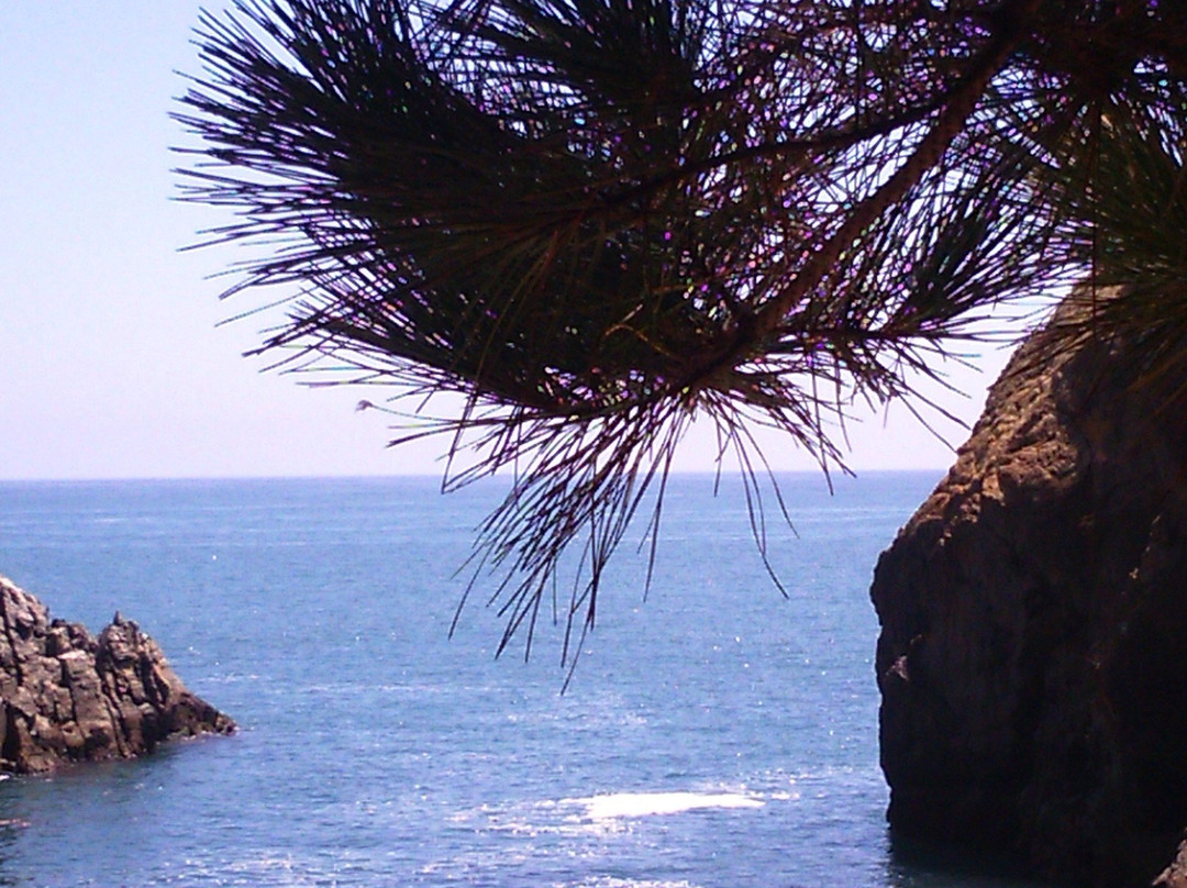 Playa Coliumo-Tome必去景点