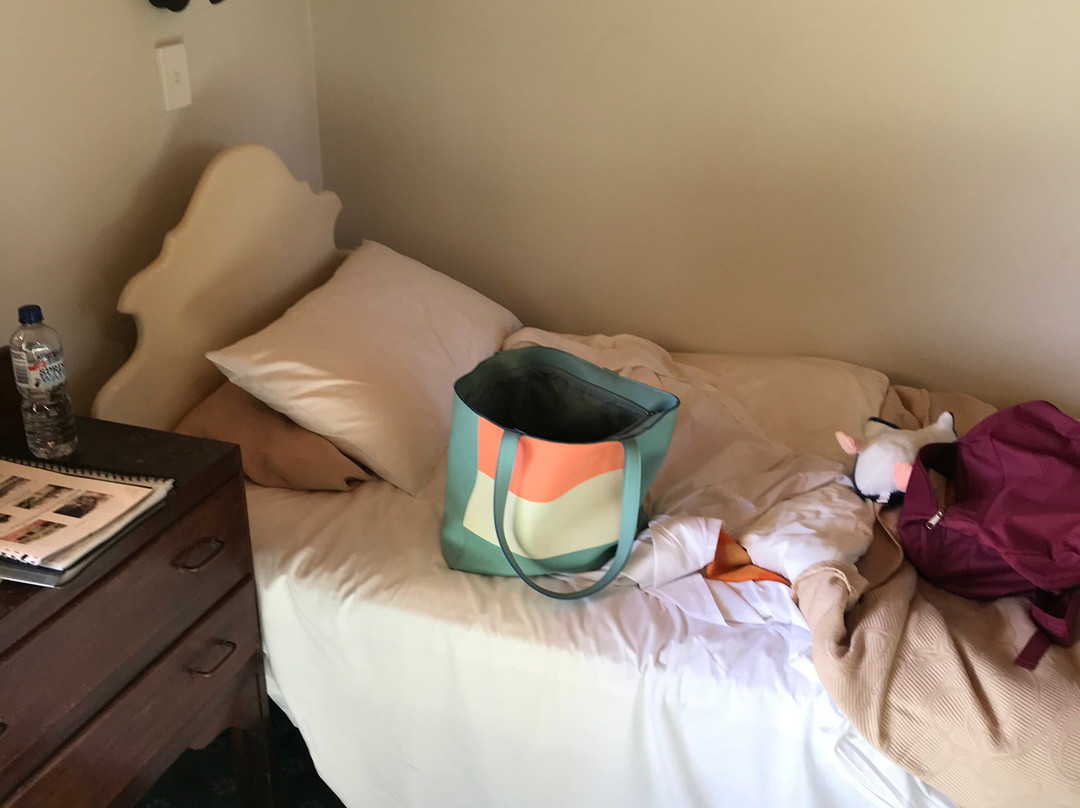 菲兹帕奇科酒店主图