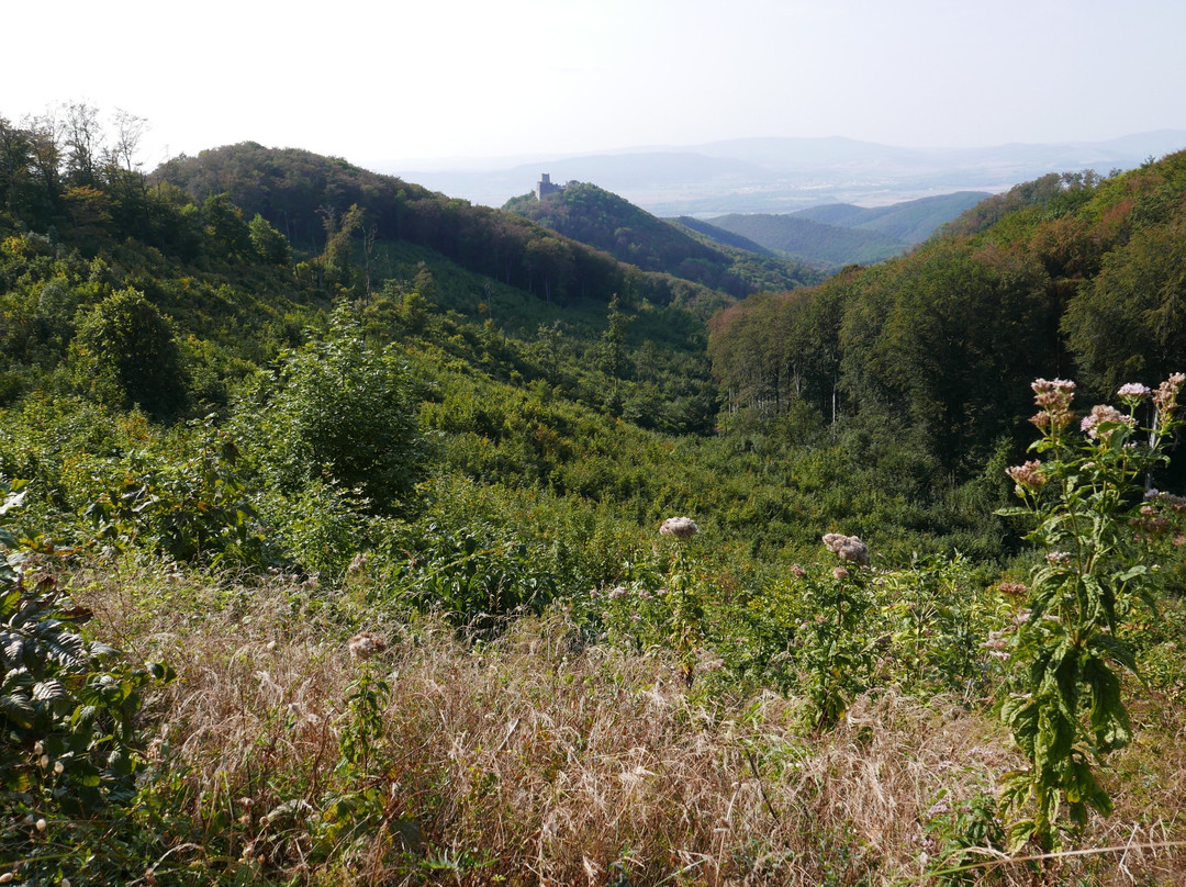 The ruins of the castle Tematin-Luka必去景点