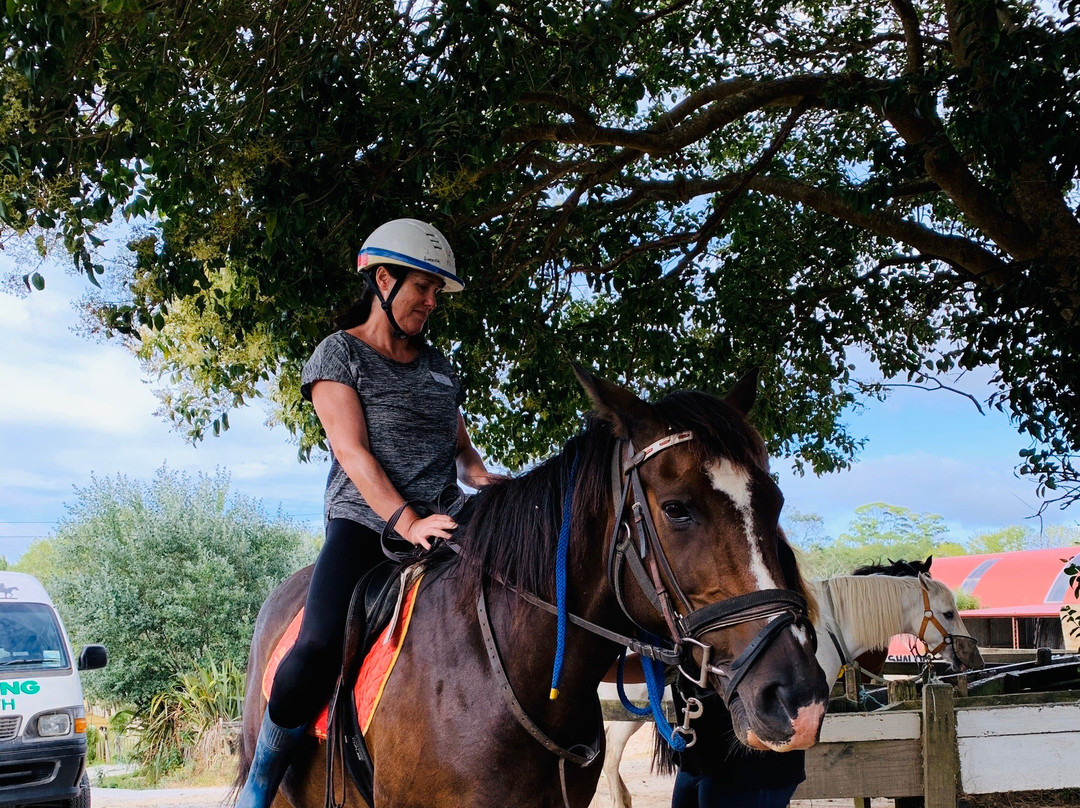 Horse Riding Warkworth景点图片