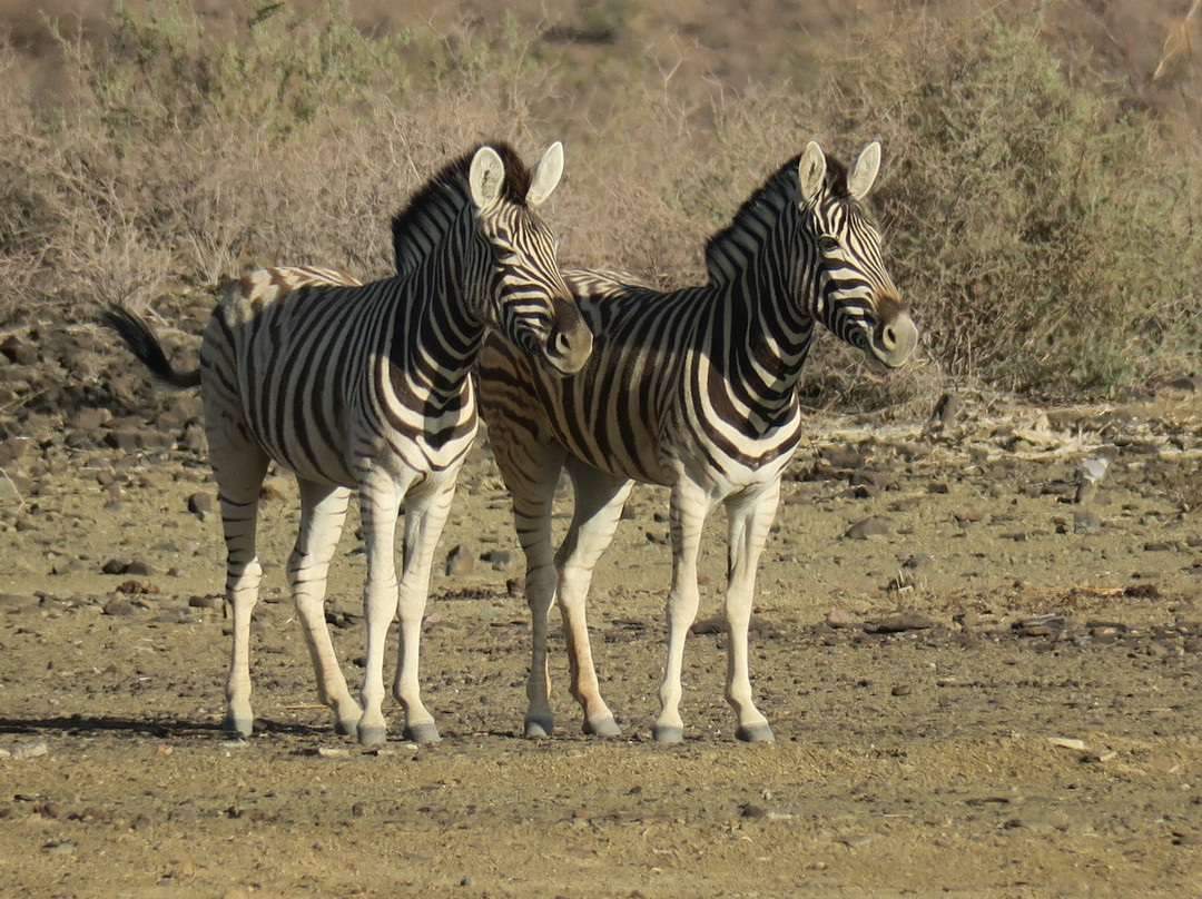 Burgsdorf Guest Farm主图