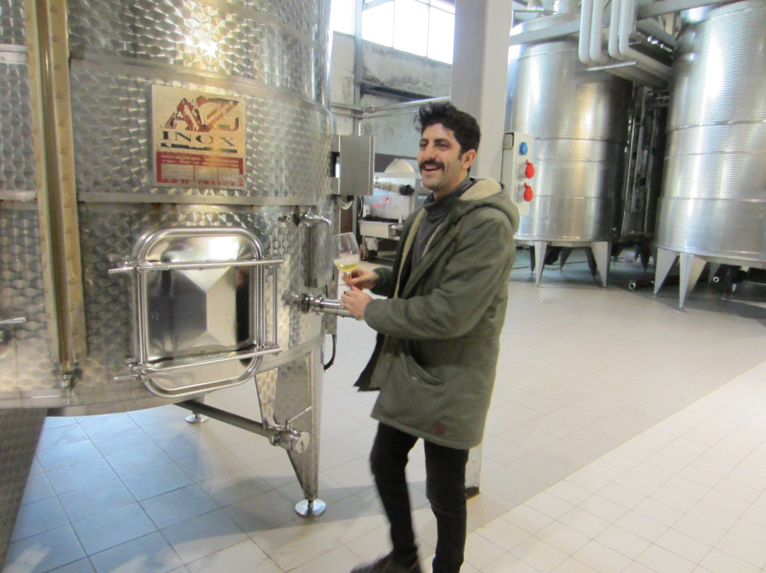 Nasimi's Wine Tours-巴库必去景点
