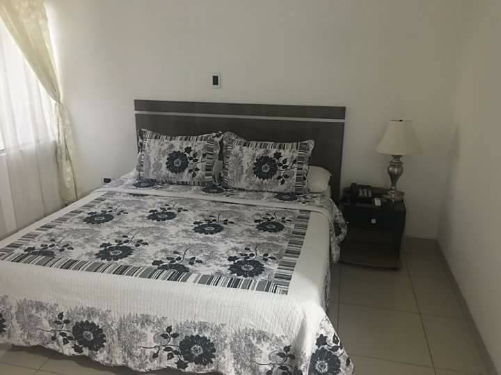 圣克鲁斯省酒店住宿-Suites Apart Hotel Ortiz